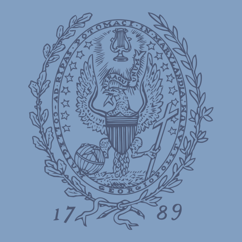 Georgetown University Urban Hoodie by linhVisuals | Teevron