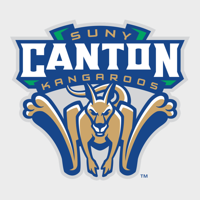 Suny Canton Urban Hoodie by linhVisuals | Teevron