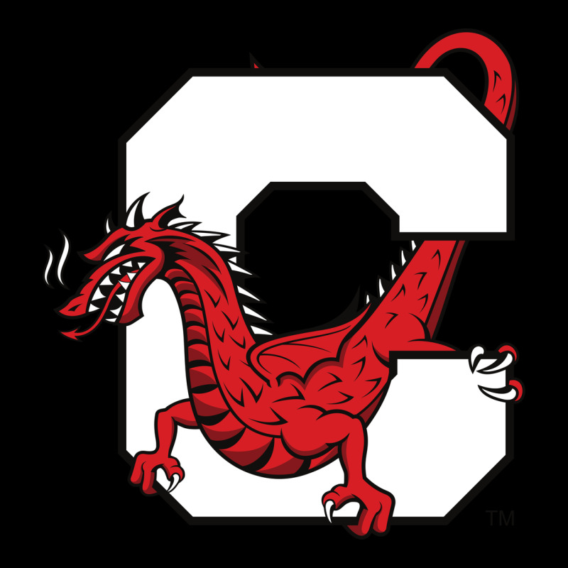 Suny Cortland Red Dragons Urban Hoodie by linhVisuals | Teevron