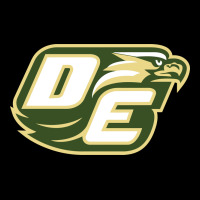 Desoto High School, Desoto Urban Hoodie | Teevron