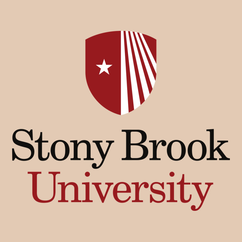 Stony Brook University Urban Hoodie by linhVisuals | Teevron