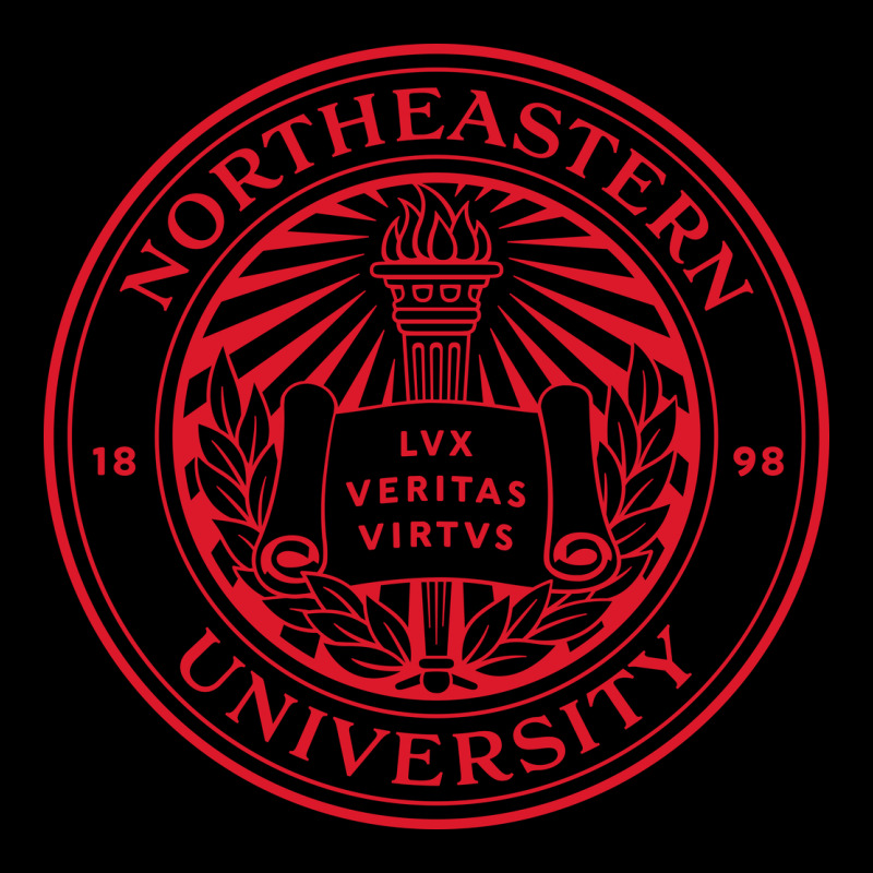 Northeastern University Urban Hoodie by linhVisuals | Teevron