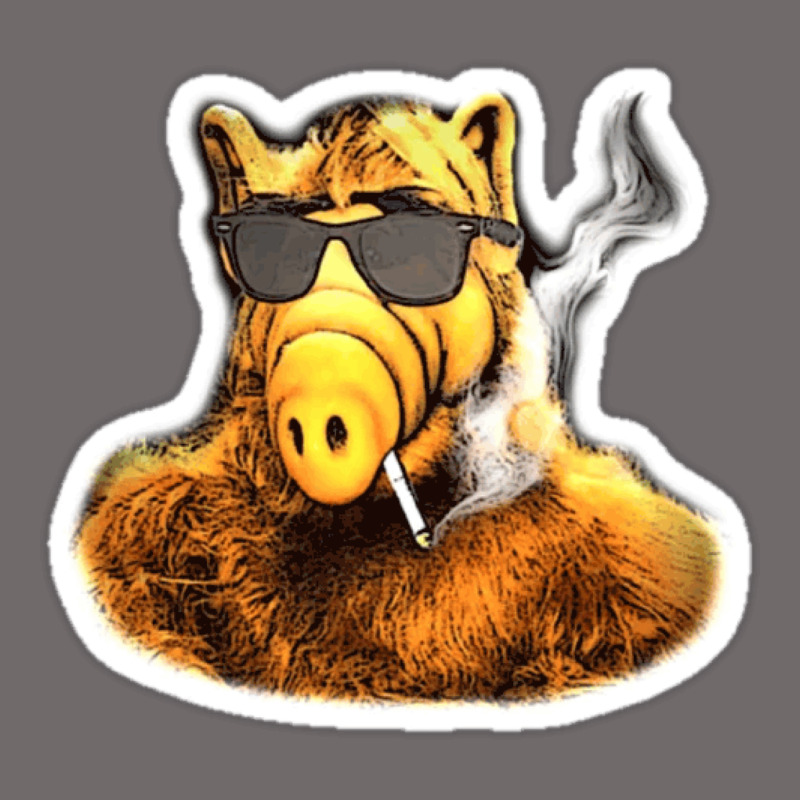 Alf Urban Hoodie by linhVisuals | Teevron