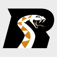 Arizona Rattlers Urban Hoodie | Teevron