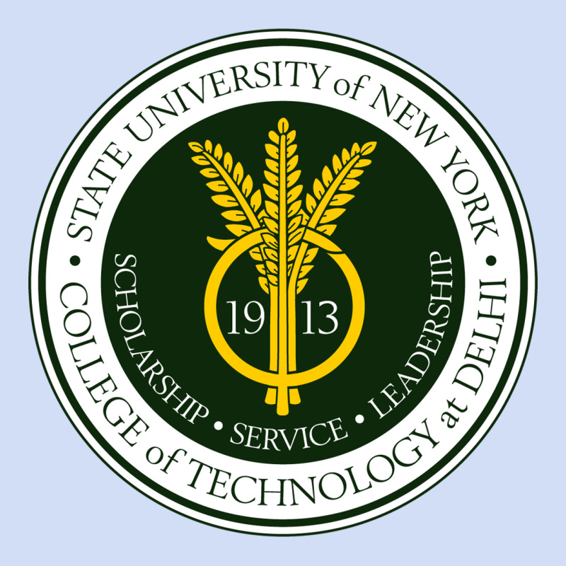 Suny Delhi Urban Hoodie by linhVisuals | Teevron