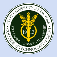 Suny Delhi Urban Hoodie | Teevron
