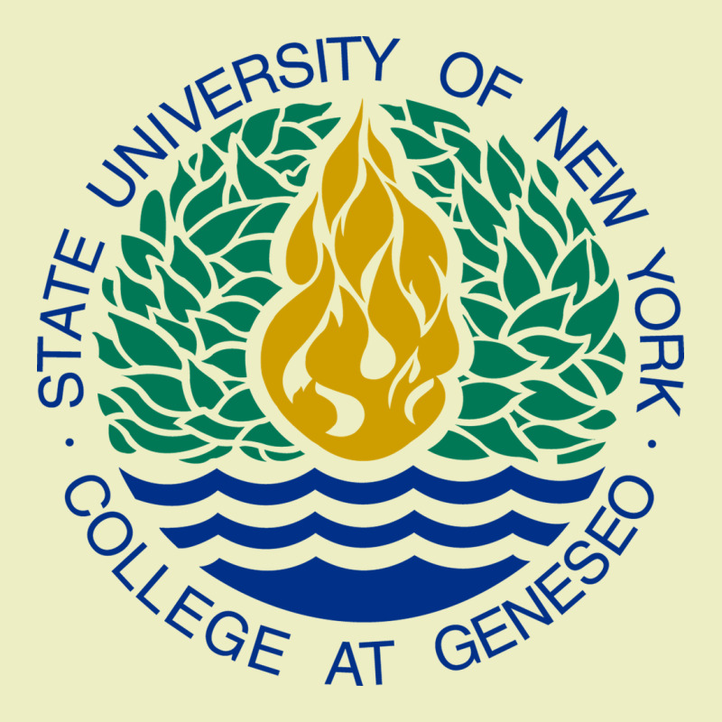 Suny Geneseo Urban Hoodie by linhVisuals | Teevron