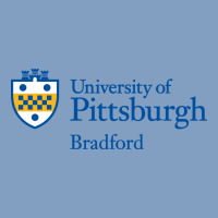 University Of Pittsburgh At Bradford New Urban Hoodie | Teevron