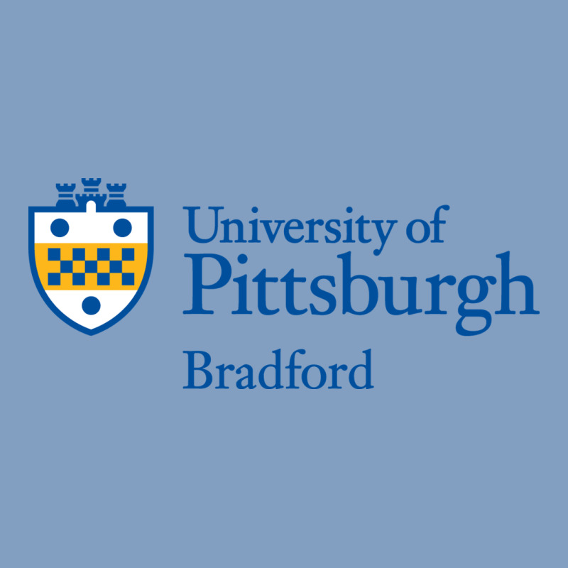University Of Pittsburgh At Bradford New Urban Hoodie by linhVisuals | Teevron