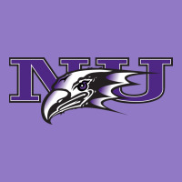 Niagara Purple Eagles Urban Hoodie | Teevron