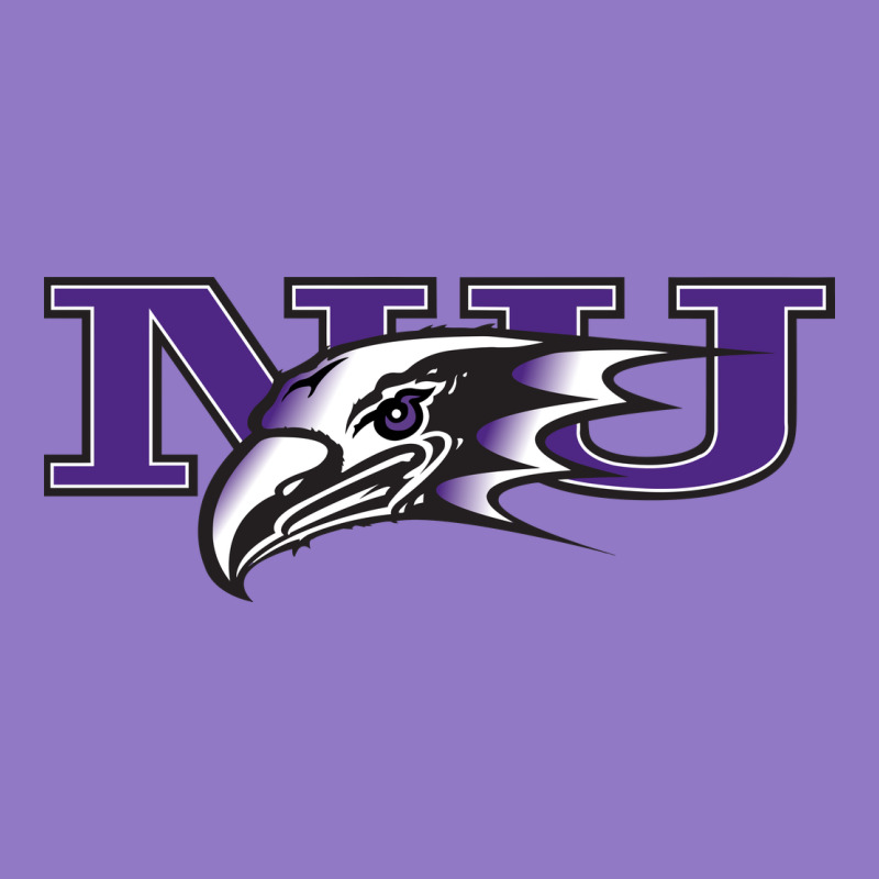 Niagara Purple Eagles Urban Hoodie by linhVisuals | Teevron