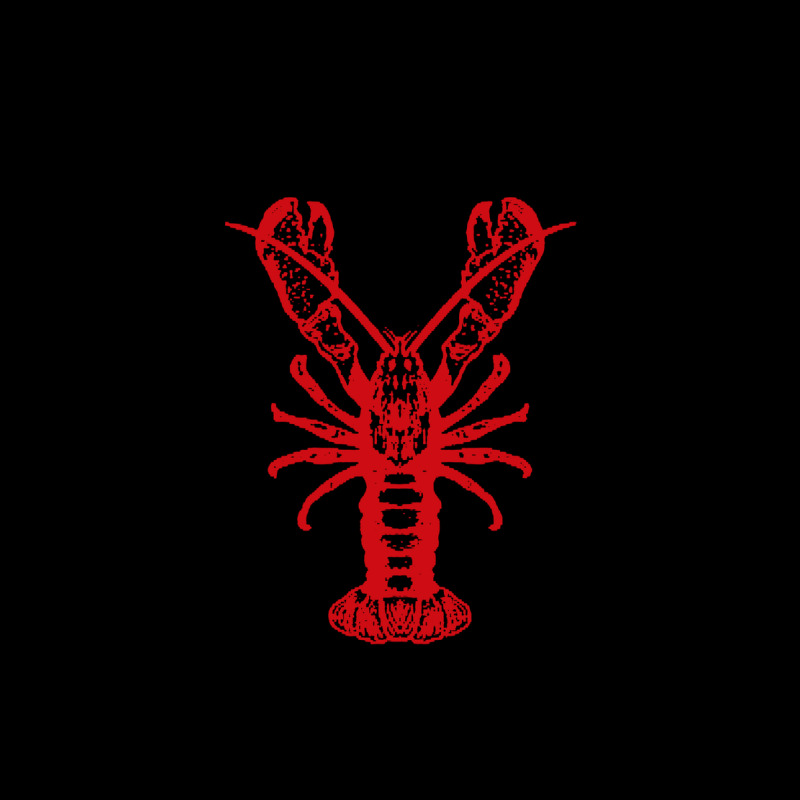 Texas Crawfish Boil Crew Urban Hoodie by linhVisuals | Teevron