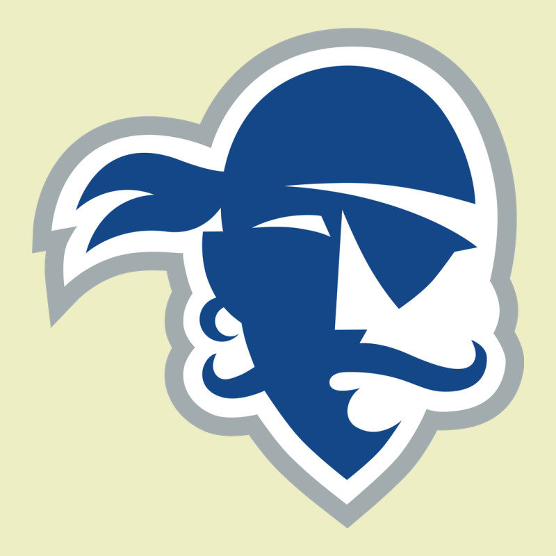 Seton Hall Pirates Urban Hoodie by linhVisuals | Teevron