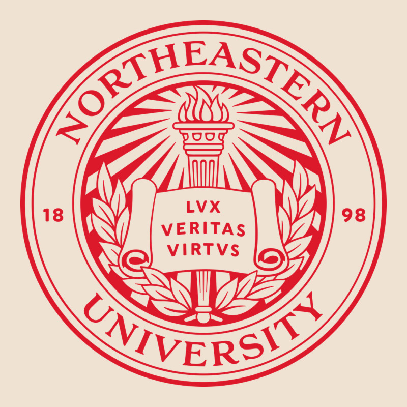 Northeastern University Urban Hoodie by linhVisuals | Teevron