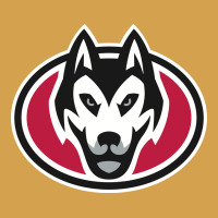 St. Cloud State Huskies, Merch Urban Hoodie | Teevron