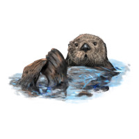 california sea otter | Teevron