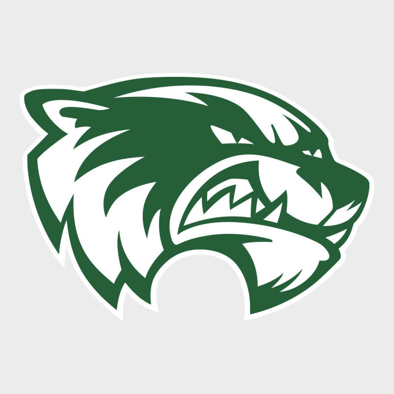 Utah Valley Wolverines Urban Hoodie by linhVisuals | Teevron