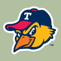 The-toledo-mud-hens-pen Urban Hoodie | Teevron
