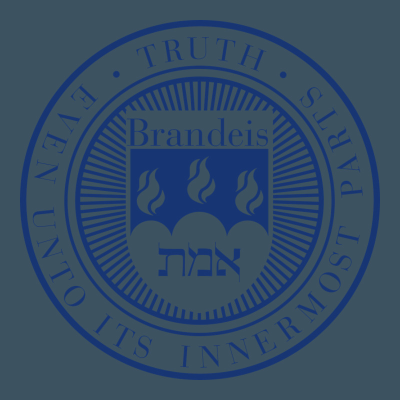 Brandeis University Urban Hoodie by linhVisuals | Teevron