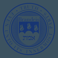 Brandeis University Urban Hoodie | Teevron