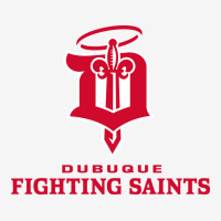 Fighting Saints Urban Hoodie | Teevron