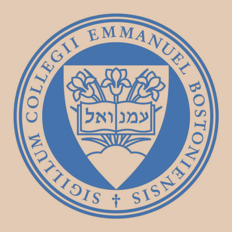 Emmanuel College Urban Hoodie by linhVisuals | Teevron