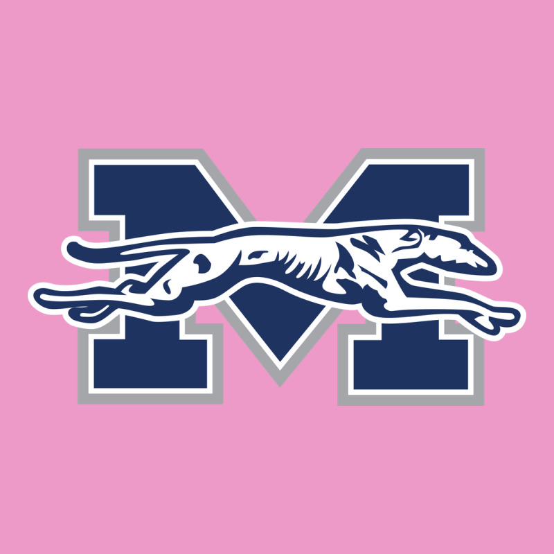 Moravian Merch, Greyhounds Urban Hoodie by linhVisuals | Teevron