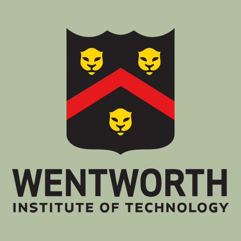 Wentworth Standard Urban Hoodie by linhVisuals | Teevron