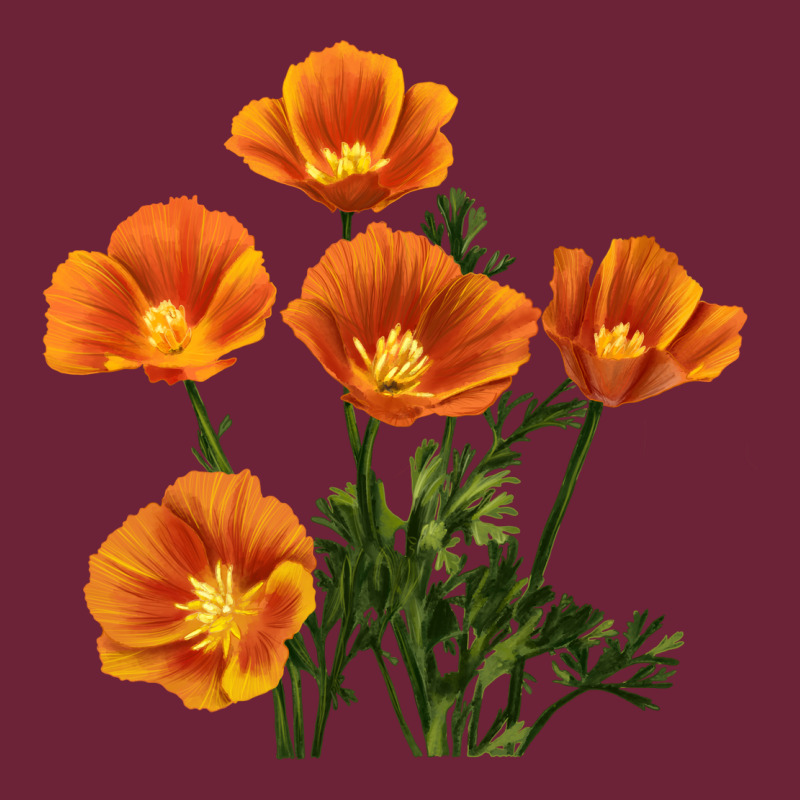 California Poppy Flower Long Sleeve Tee by RanaPortraitStore | Teevron