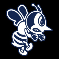 Ambrose University Fighting Bees Urban Hoodie | Teevron