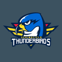 The Thunderbirds Springfield Urban Hoodie | Teevron