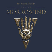 Morrowind Urban Hoodie | Teevron