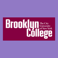 Brooklyn College Urban Hoodie | Teevron