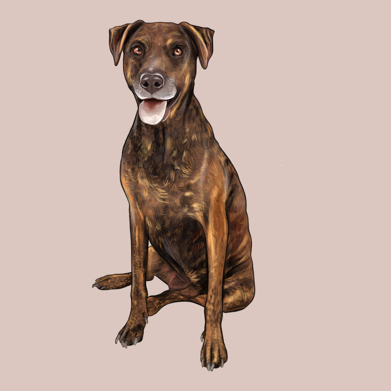 Plott Hound Premium Hoodie by LillyAllenDesigns | Teevron