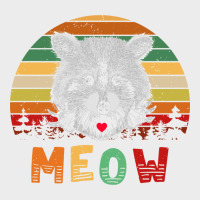 Funny Vintage Raccoon Meow Raccoon Lovers Urban Hoodie | Teevron