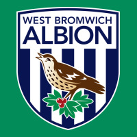 The-west-bromwich-albion-pen Urban Hoodie | Teevron
