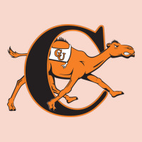 The Campbell Fighting Camels Urban Hoodie | Teevron