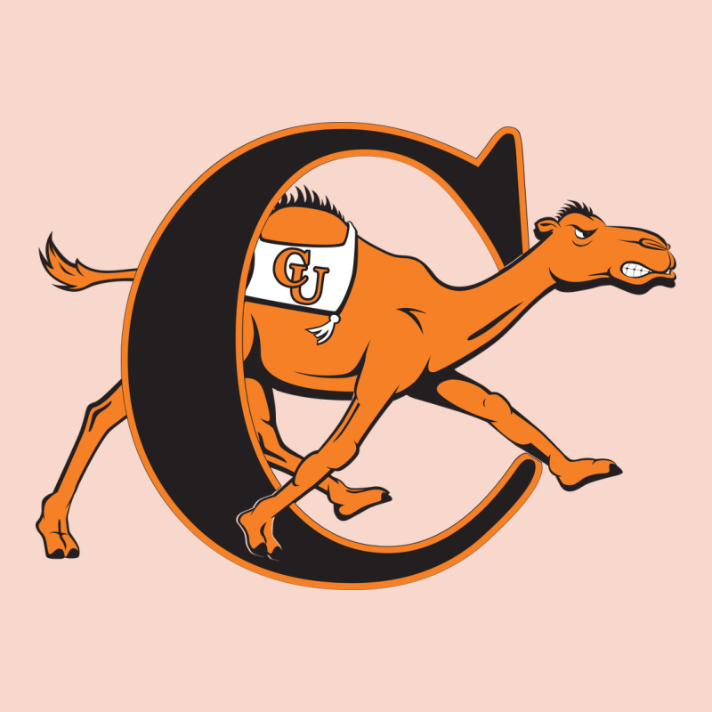 The Campbell Fighting Camels Urban Hoodie by linhVisuals | Teevron