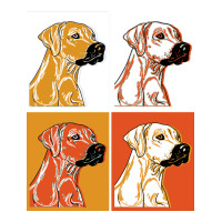 rhodesian ridgeback t  shirt rhodesian ridgeback dog gift idea t  shir | Teevron