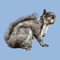Gray Squirrel Premium Hoodie | Teevron