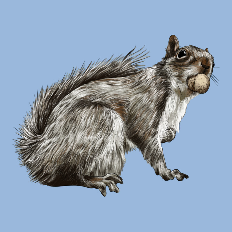 Gray Squirrel Premium Hoodie by LillyAllenDesigns | Teevron