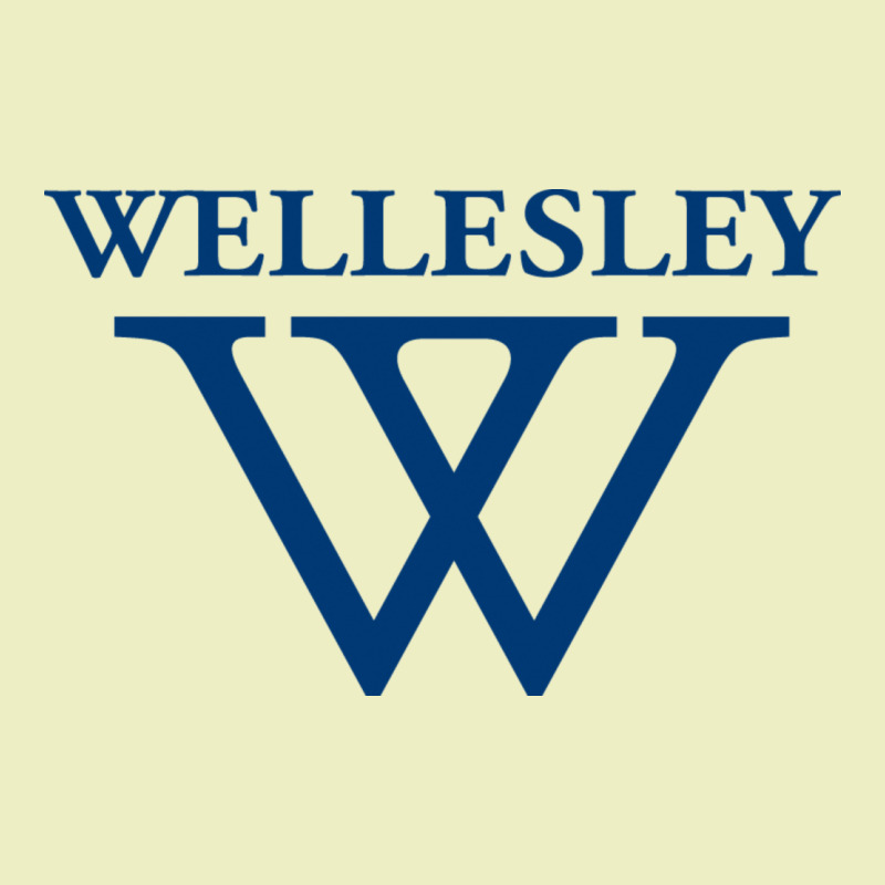 Wellesley College Urban Hoodie by linhVisuals | Teevron