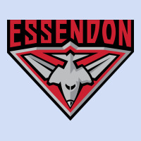 Essendon Fc Urban Hoodie | Teevron