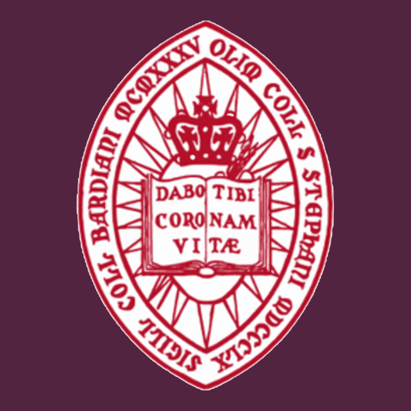 Bard College Urban Hoodie by linhVisuals | Teevron