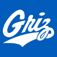 Montana Griz Basketball Urban Hoodie | Teevron