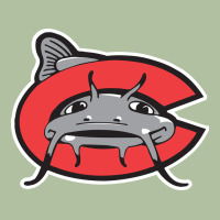 Carolina Mudcats Urban Hoodie | Teevron