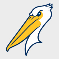 Myrtle Beach Pelicans Urban Hoodie | Teevron