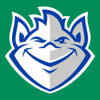 The Billikens Urban Hoodie | Teevron