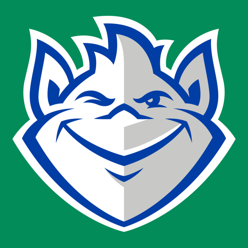 The Billikens Urban Hoodie by linhVisuals | Teevron
