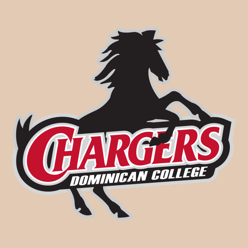 The Dominican Chargers Urban Hoodie by linhVisuals | Teevron